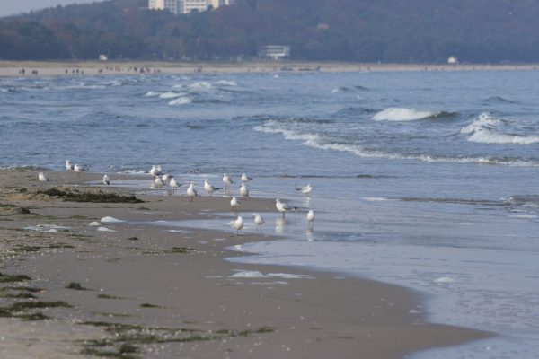 Spaziergang am Strand