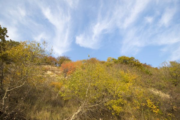 Herbst